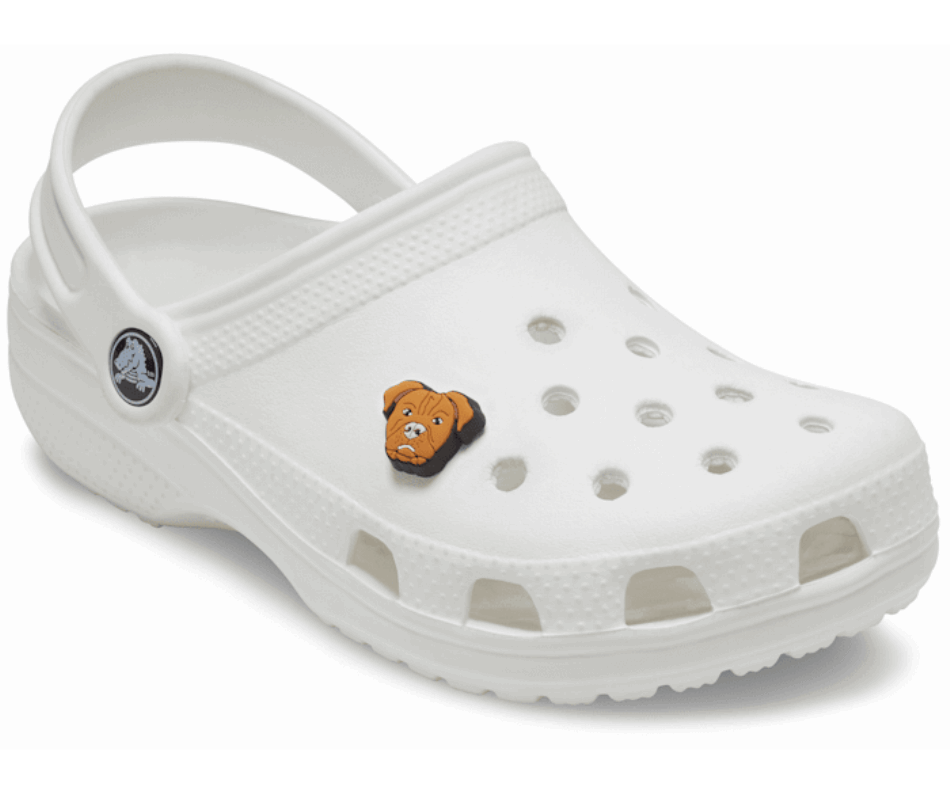 Crocs Pitbull