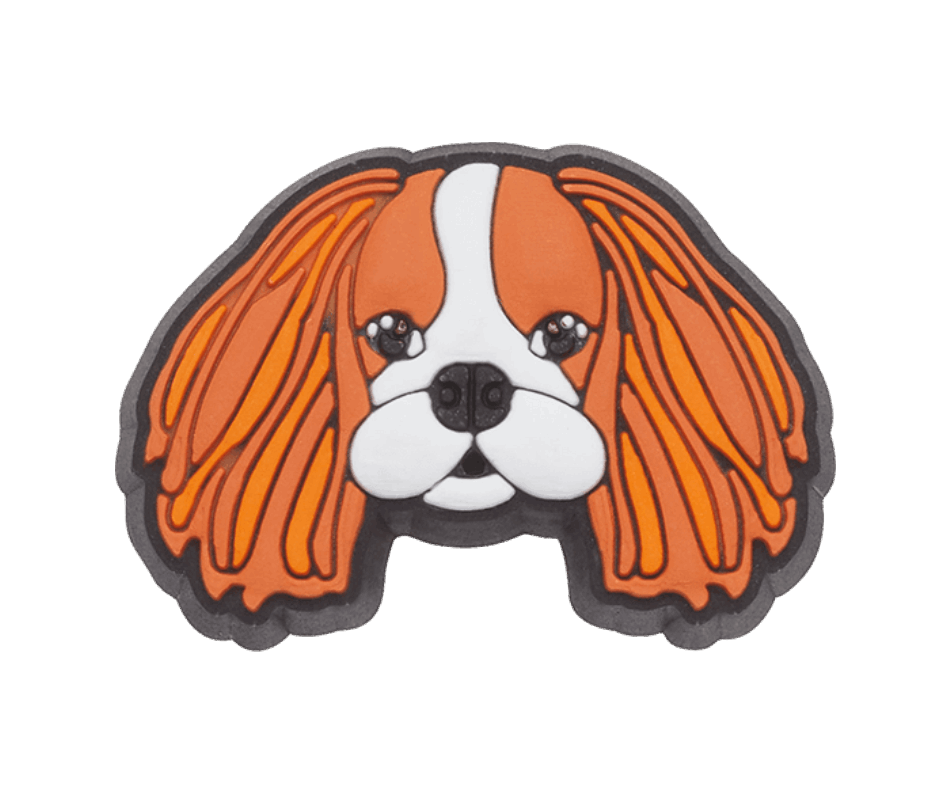 Crocs Cavalier Dog