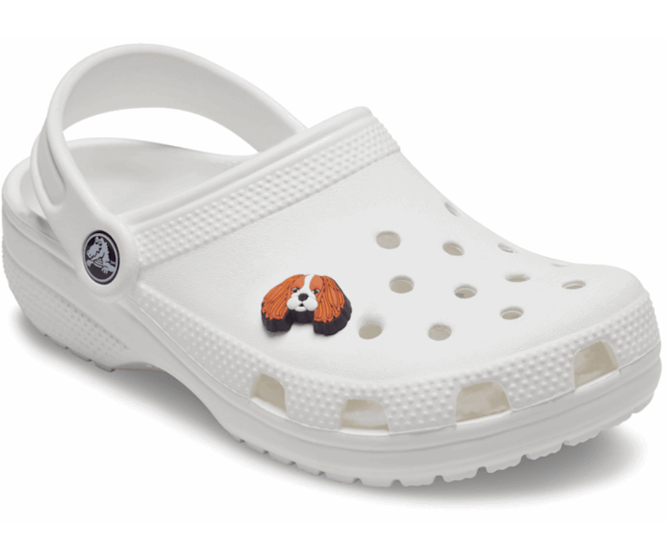 Crocs Cavalier Dog