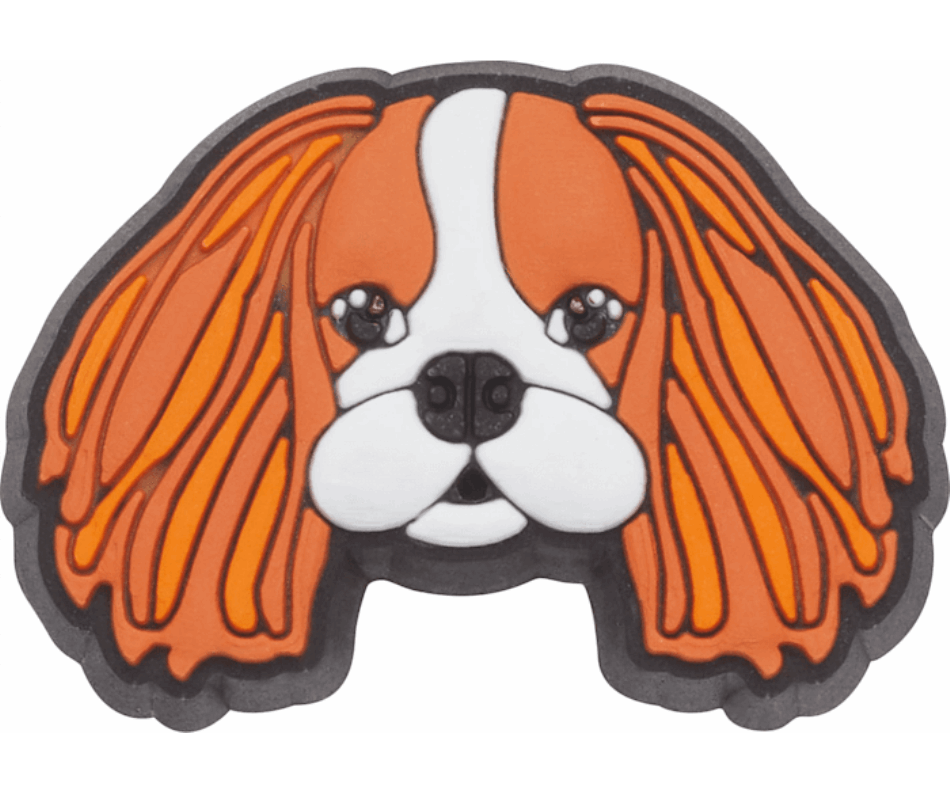 Crocs Cavalier Dog