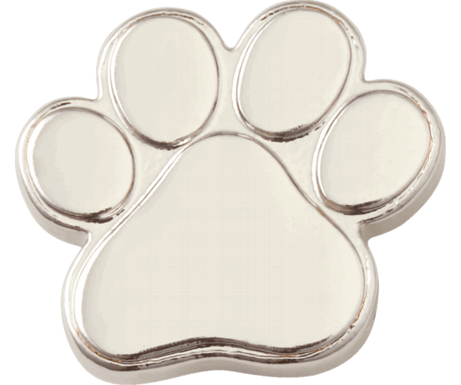 Crocs Silver Paw Print