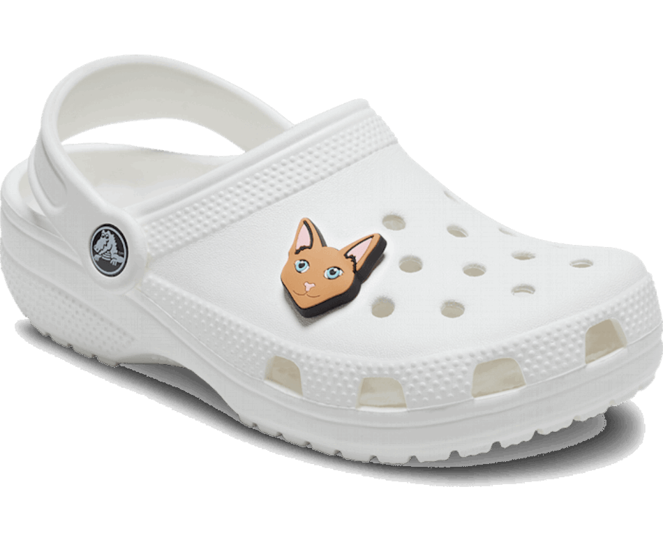 Crocs Siamese Cat