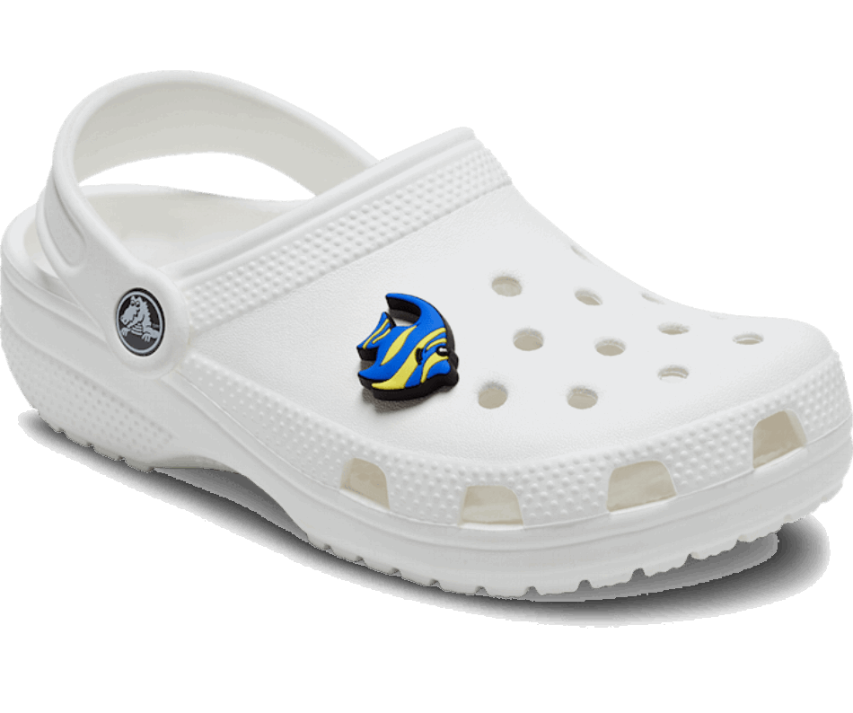 Crocs Blue Tang Fish