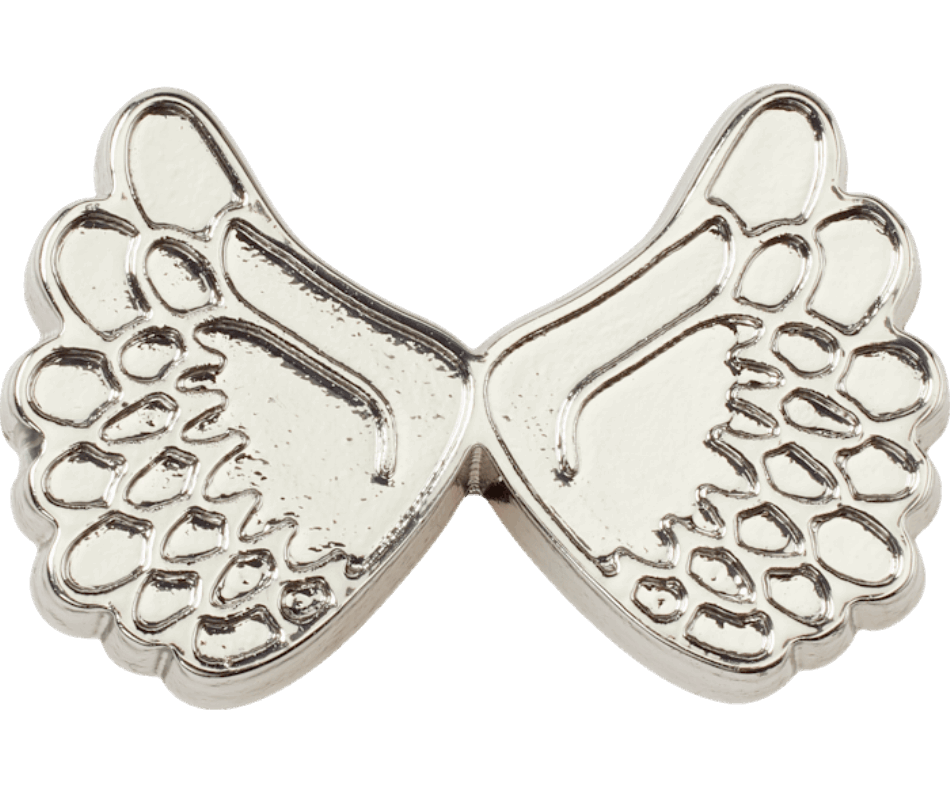Crocs Open Metallic Angel Wings